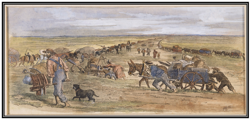 TROVE: Travelling to the diggings; the Keilor plains by J. A. Gilfillan, 1853.